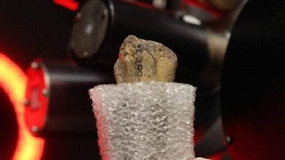 العثور على أدلة جديدة حول وفاة إحدى أشهر أسلاف الإنسان 