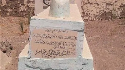 نجل المشير عبد الحكيم عامر يكشف أسباب زيارة الوفد العسكري لقبر والده