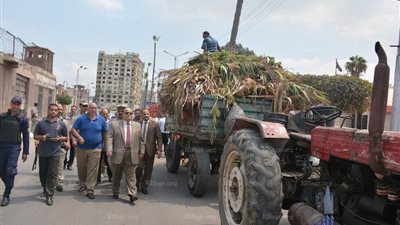 محافظ الدقهلية: صرف مكافأة 10 أيام لعمال النظافة بالمنصورة