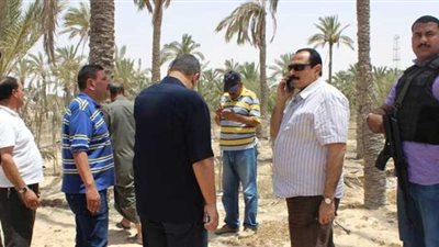 سقوط تشكيل عصابي تخصص في سرقة معارض السيارات بالإسماعيلية