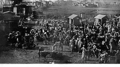 تعرف على فضل الصعايدة في تعمير حي الزمالك