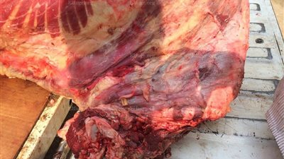 ضبط 119 كيلو لحوم مذبوحة خارج السلخانة بإمبابة (صور)