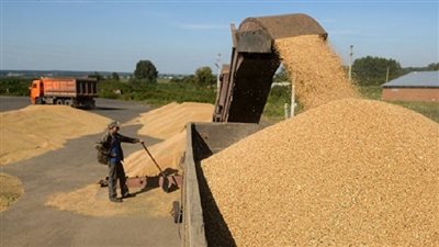 روسيا تلغي رسوم تصدير القمح حتى يوليو 2018