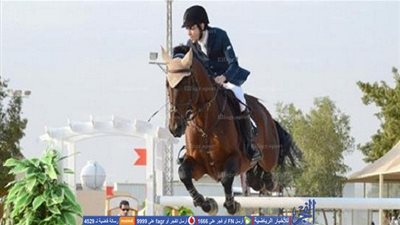 فضيحة الفروسية في أولمبياد 