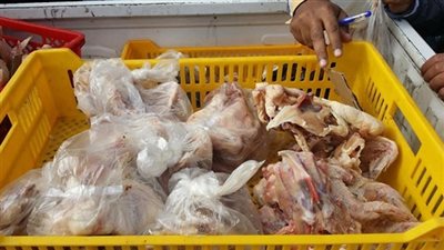 ضبط 12 كيلو دجاج فاسد في فرع 