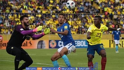 بالفيديو.. أهداف مباراة - الإكوادور 0 × 3 البرازيل |  تصفيات أمريكا الجنوبية المؤهلة لكأس العالم