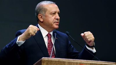 أردوغان: طهّرنا منطقة بشمال سوريا من داعش والمسلحين الأكراد