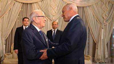 أبو الغيط والرئيس التونسي يناقشان سبل تسوية أزمات المنطقة