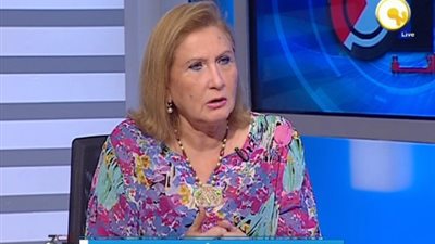 جيلان علام: 5 مليارات جنيه حجم التبادل التجاري المصري مع الهند