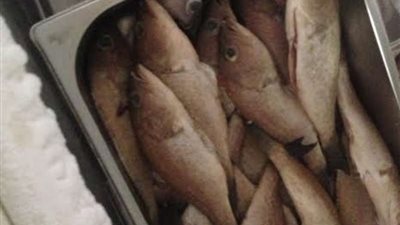 أمانة المدينة ترصد 103 مخالفات على محطات الطرق السريعة