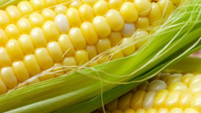 5 فوائد صحية للذرة الصفراء.. تعرفي عليها 