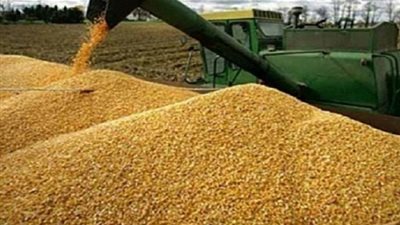 نيابة الأموال العامة تجدد حبس 13 متهما في 