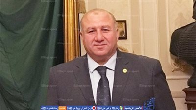 البطيخي : ملف الاستثمار ضمن أولويات قانون الرياضة الجديد