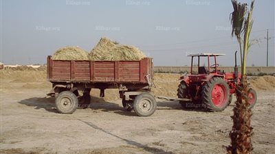 وصول معدات تحويل قش الأرز لكومات سمادية لمواجهة ظاهرة الحرق بالبحيرة (صور)