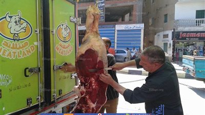 ننشر أماكن بيع اللحوم بأسعار مخفضة في مدن وقرى البحيرة (صور)