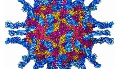 رابطة جينية جديدة تعطى أملا فى علاج مرضى 