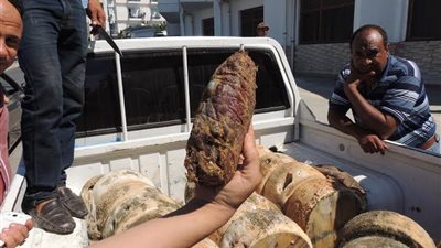 إعدام 166 كيلو جرام أطعمة فاسدة بـ 36 منشآة غذائية في المنوفية