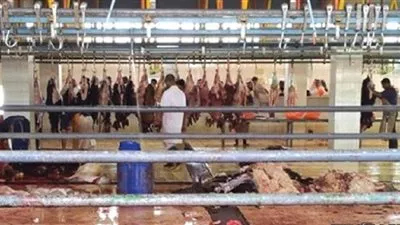 تعرف على المسالخ النظامية المحددة من قبل أمانة جدة