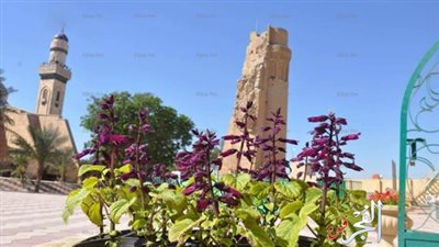 قضاء الزبير يطالب اليونسكو بحماية آثار العراق