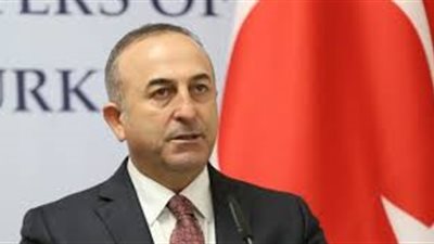 أوغلو: أردوغان أعلن للمك سلمان تأييده للعمليات السعودية في اليمن 