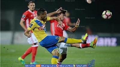 بالصور.. بنفيكا يفوز على أروكا بثنائية بالدوري البرتغالي