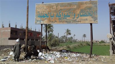 الكساد يضرب أسواق الأضاحي بسوهاج 