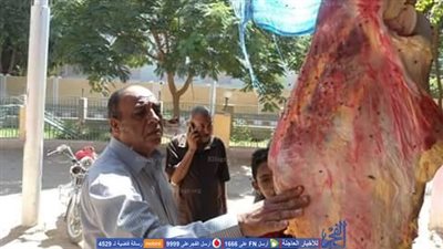 رئاسة البداري تشن حملات على المجازر ومحال بيع اللحوم (صور) 