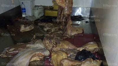 ضبط كميات من اللحوم الفاسدة داخل سيارة متنقلة فى الإسكندرية (صور)