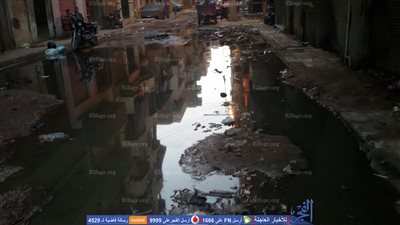 عيد الأضحى بنكهة 