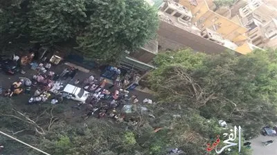 سقوط شجرة على المصلين بجامع عمرو بن العاص يتسبب في ذعر لأهالي المنطقة (صور)