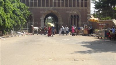 آلاف المواطنين يتوافدون على حدائق القناطر ..والمحافظ يتابع الاحتفالات (صور) 