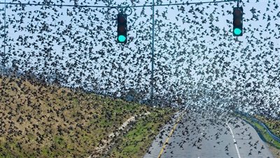 ظاهرة غريبة تحدث لأول مرة فى سماء بوسطن !