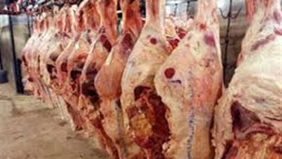 التموين: سعر اللحوم في متناول المواطن العادي
