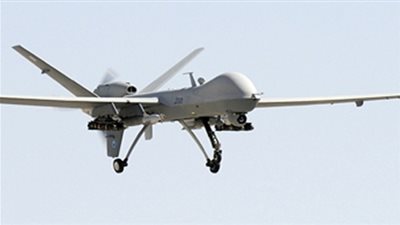 هولندا تستخدم النسور لإسقاط الطائرات بدون طيار