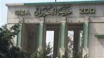 رجائي: نعمل على إعادة 