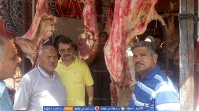 إعدام أكثر من 500 كيلو لحوم وكبد فاسدة بقليوب 