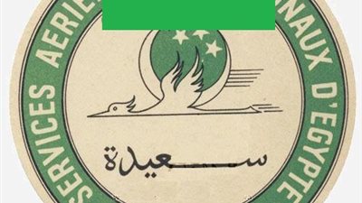 سعيدة.. شركة طيران مصرية لرجل أعمال إيطالي