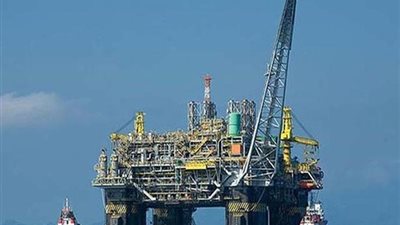 تعرف على حقل 