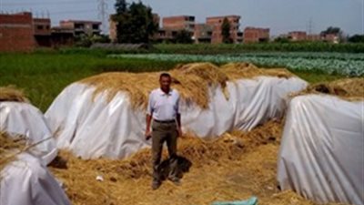 البيئة: تجميع 26 ألف طن قش أرز وتحرير 1783 محضر حرق