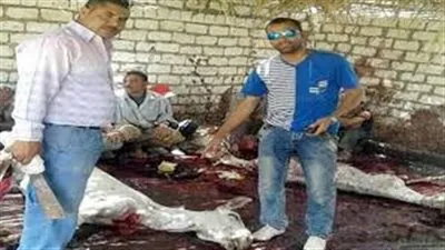 الطب البيطري: جلد الحمار المصري يصدر بـ 600 دولار .. 