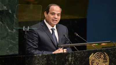 الجالية المصرية في أمريكا: ننتظر السيسي بـ50 أتوبيسًا عليها علم مصر