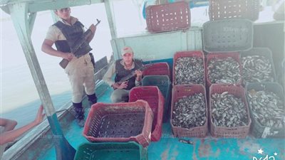 ضبط 109قضية صيد مخالف بحملة أمنية فى بحيرة البرلس  