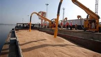 خبير زراعي عن قرار منع استيراد القمح الروسي: 