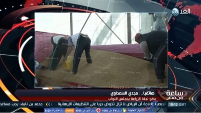 برلماني: عودة استيراد قمح 