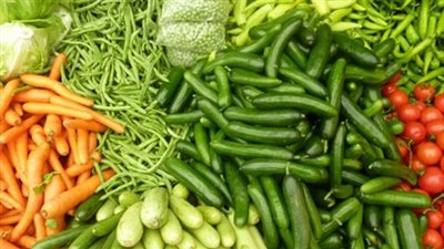  وفد مصري يزور روسيا لحل أزمة الحاصلات الزراعية المصرية السبت المقبل