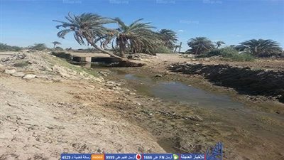 بوار عدد من الأراضي الرزاعية بالفيوم بسبب جفاف بحر الجرجبة بمركز أطسا 