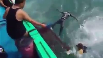 ارتفاع عدد ضحايا 