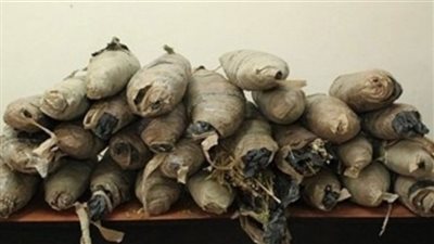 ضبط 23 لفافة بانجو بحوزة عاطل غرب الإسماعيلية 