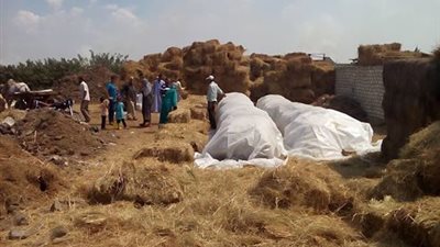 تحرير 601 محضر حرق مخلفات زراعية فى الدقهلية 