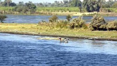 وزير الري: أنهينا تطهير فرع رشيد‎